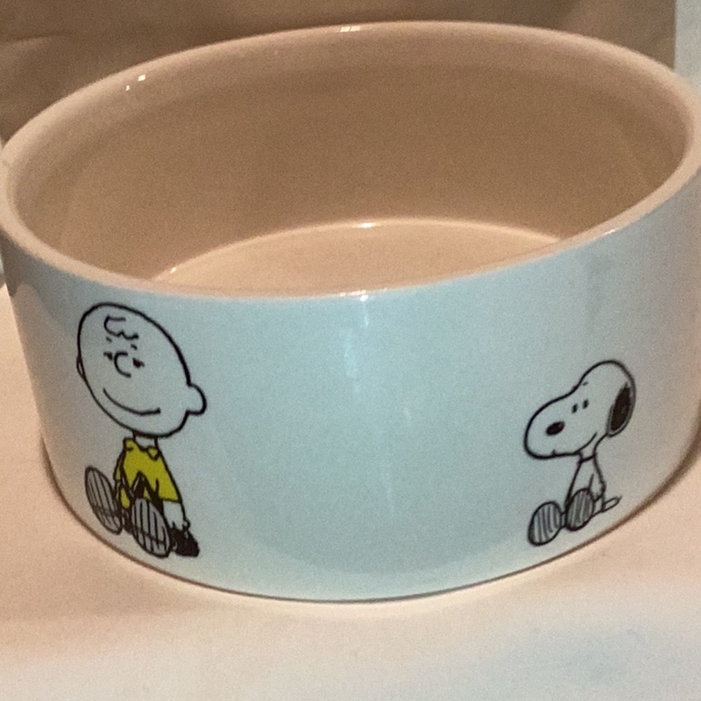 Peanuts Pet Bowl